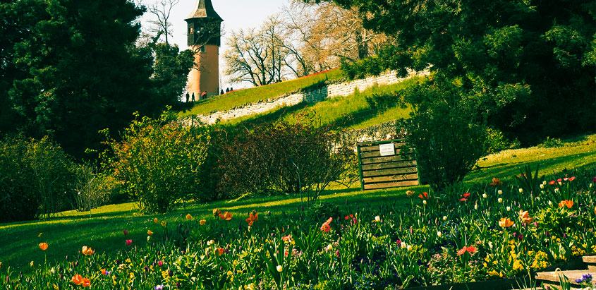 отель рядом с парком лога